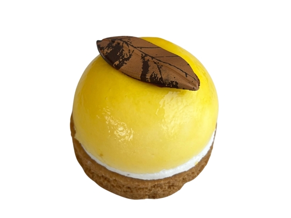 Bolgebakje perzik abrikoos (vegan)